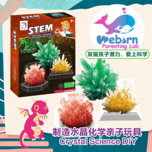 水晶化学实验亲子玩具 Crystal Science DIY